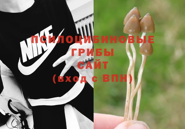 mix Богородицк