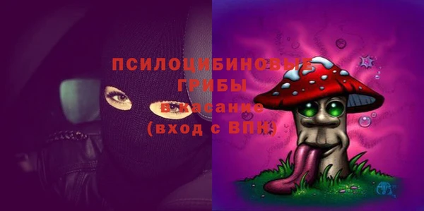 mix Богородицк
