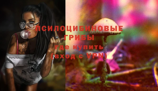 спайс Сатка