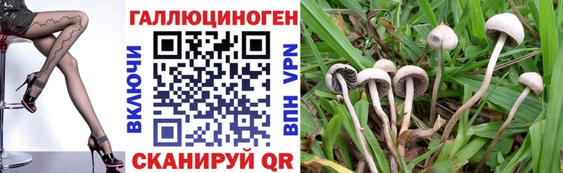 Псилоцибиновые грибы Magic Shrooms  Горняк 